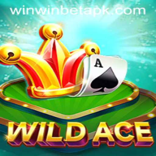 WildAce: Exploring the Electrifying World of WinWinBET's Latest Game Venture